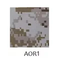 AOR1