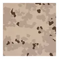 DGLFSSSM