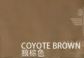 Coyote Brown