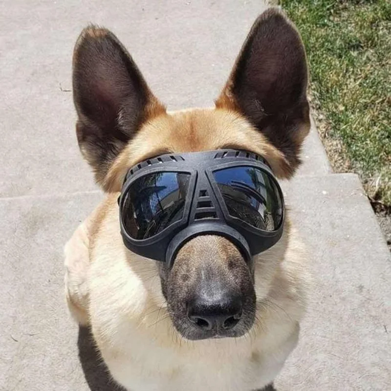 Gafas tácticas para perros: gafas protectoras de grado profesional para mascotas al aire libre - imagen 3