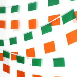 FLAGLINK 24 unids/set bandera de Irlanda 14x21cm 20x30cm decoración del hogar bandera de banderines de Irlanda banderín Banner Banderines Festival