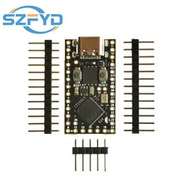 Placa desarrollo RP2040 Raspberry Pi PICO – Doble núcleo