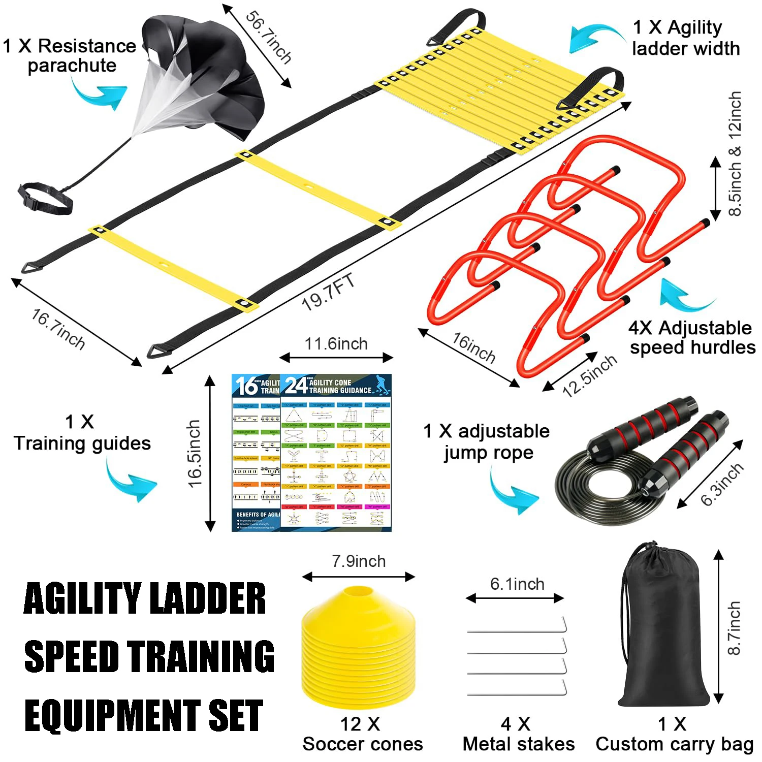 Baloncesto（Nuevo）