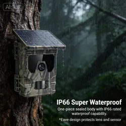 Cámara de trampeo solar 4K infrarroja visión nocturna