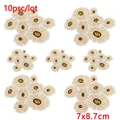 PE13485CT