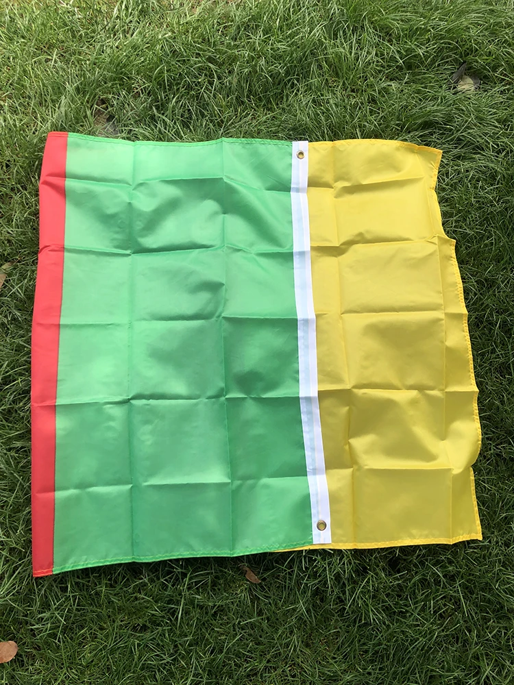 BANDERA DE SKY, envío gratis, bandera de Camerún, 90x150cm, poliéster, colgante, banderas nacionales de Camerún, cartel de Camerún, decoración del hogar - imagen 5