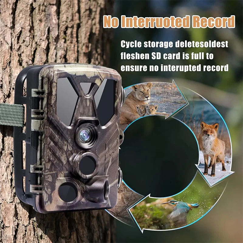 Cámara inalámbrica para rastreo de Vida Silvestre, videocámara de caza HC812A, 36MP4K, 940NM, IR, visión nocturna, fototrampas, seguimiento, vigilancia - imagen 5