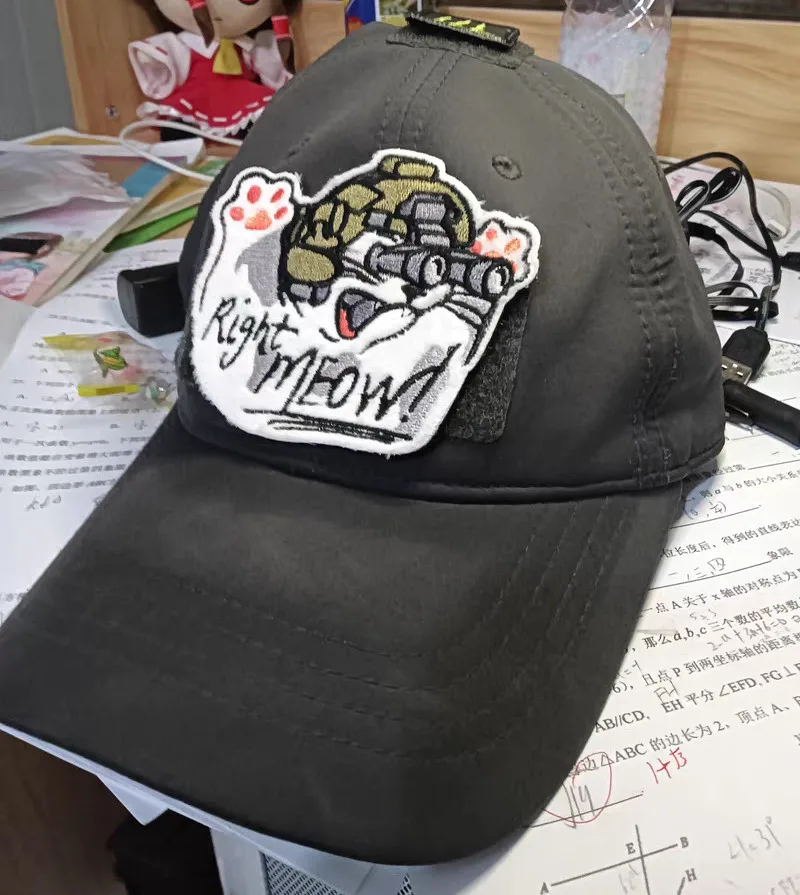 Right Meow acción inmediata gato bordado capítulo feroz Animal visión nocturna casco táctica brazalete para bolsa decoración de ropa - imagen 5