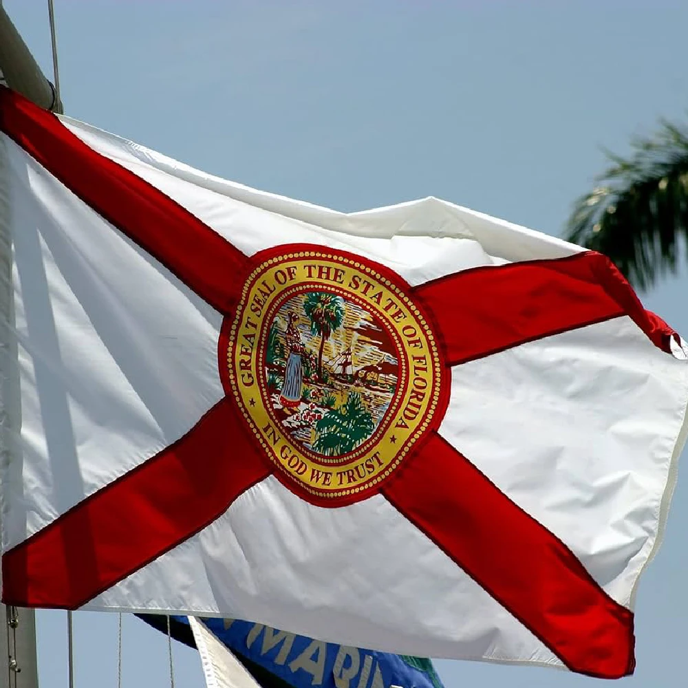 FLAGLINK 90x150 CM EE.UU. Bandera de Florida Para Decoración