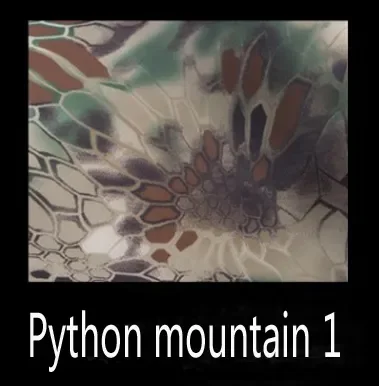 Python mountain