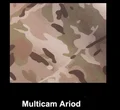 Multicam ariod