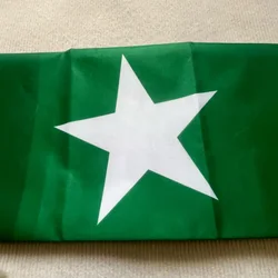 Bandera de Pakistán poliéster duradera para colgar – acabado fino