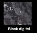 Black digital