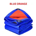 blue orange