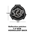 33 Reflective SCP