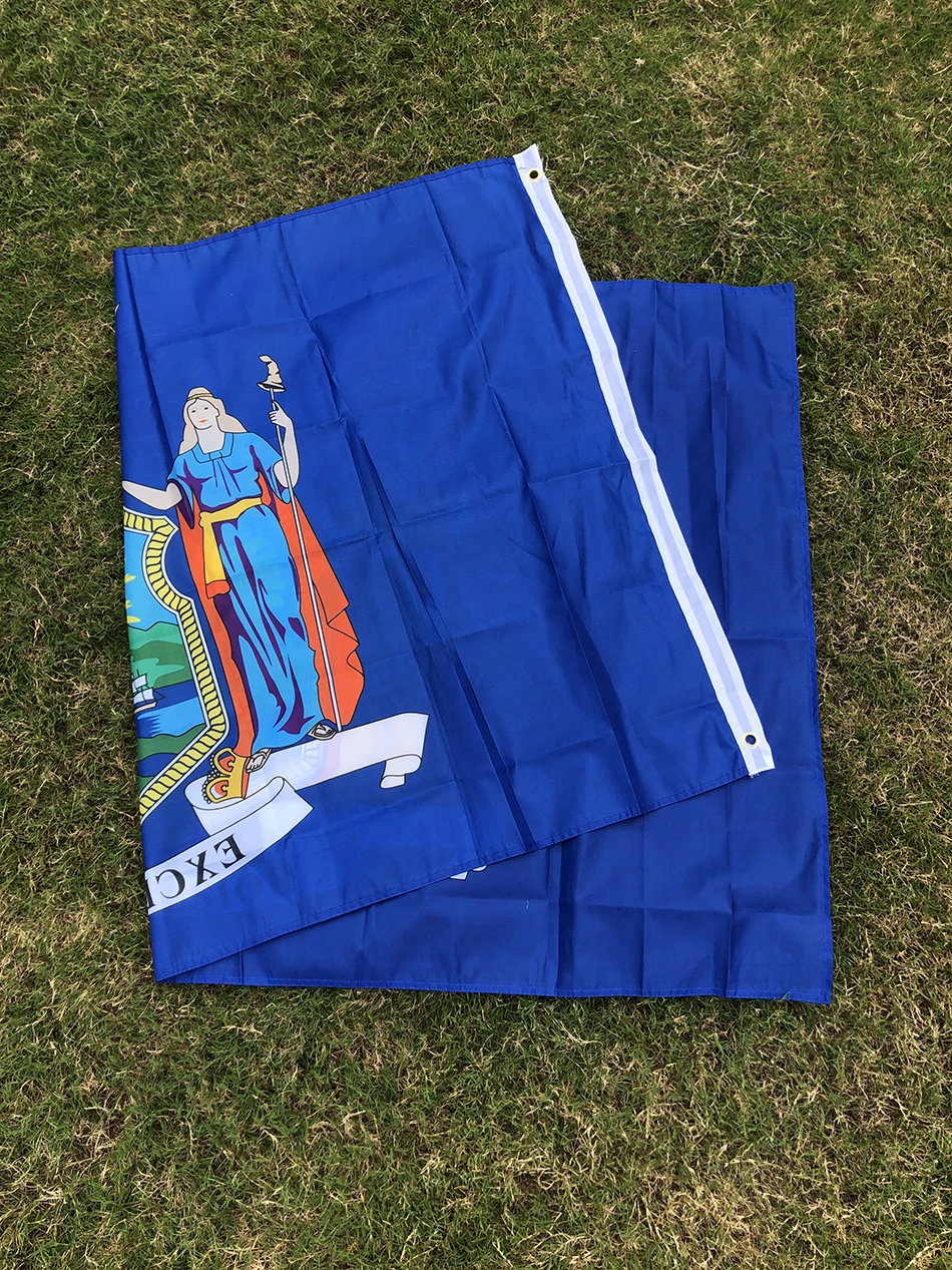 SKY FLAG Bandera del Estado de Nueva York 90x150CM 3x5 pies poliéster de alta calidad colgante Bandera del Estado de Nueva York para decoración del hogar - imagen 5