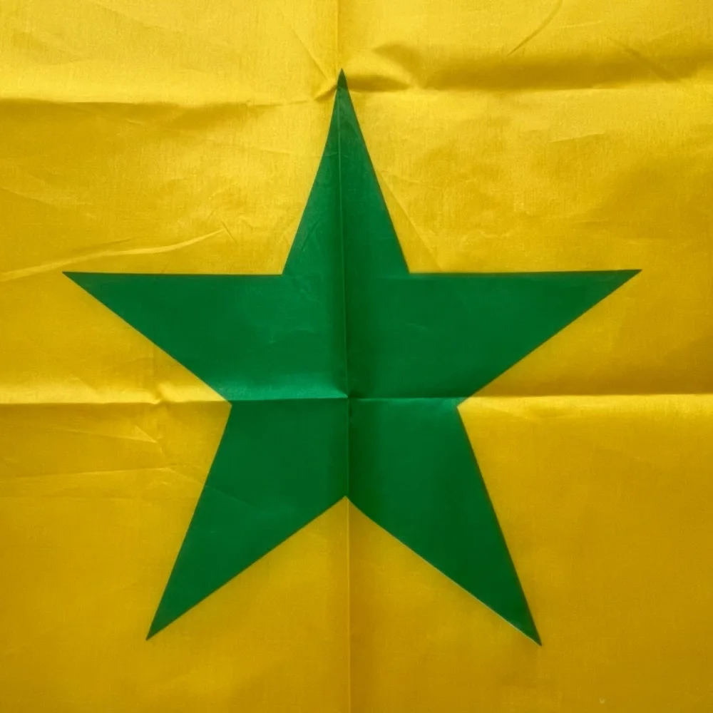 Bandera YIXIN FIagSenegal 90x150cm 3x5 pies BANDERA de fútbol súper poli Banderas colgantes de poliéster para interiores y exteriores