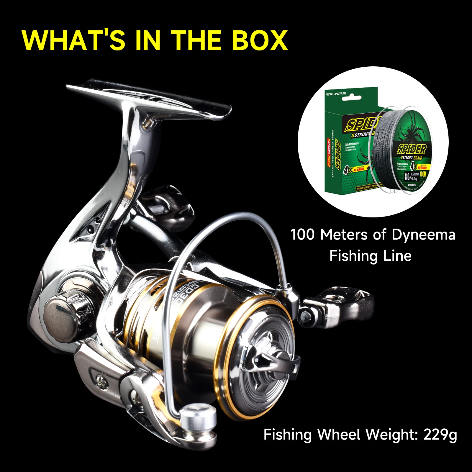 Roll with 100M fishi