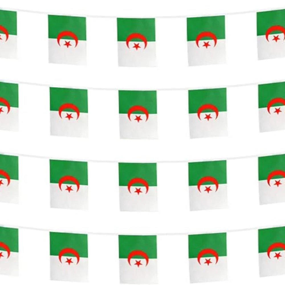 Bandera de Argelia banderines 14x21cm 20 unids/lote bandera de Argelia bandera nacional banderas de cuerda banderín Banner para decoración de fiesta de Festival - imagen 2