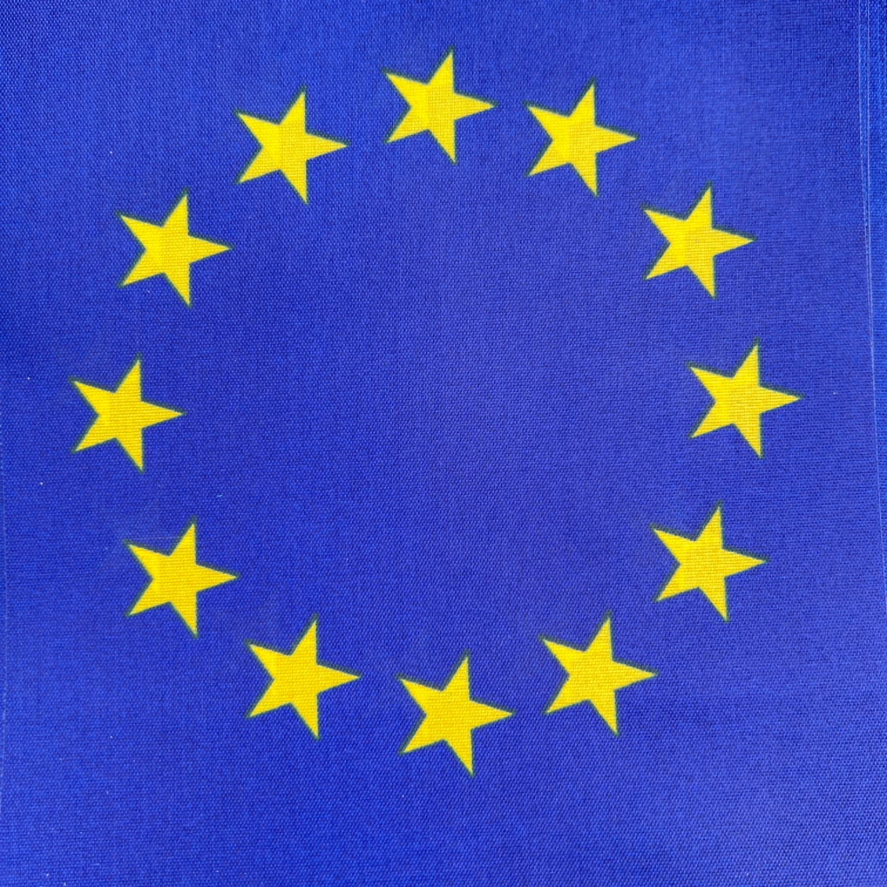 14x21 cm 20 unids/set banderines de la Unión Europea banderín banderas de cuerda de la UE banderines de pancartas Festival fiesta vacaciones - imagen 5