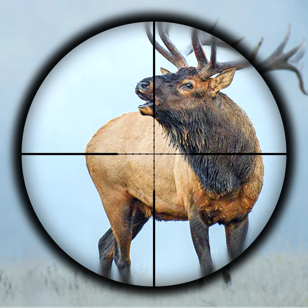 ​​SPINA OPTICS JS 3-9x40/4-12x40 Mira Óptica Táctica de Caza con Montura 21mm&11mm + Nivel de Burbuja​​ - imagen 2