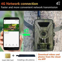 Cámara de fototrampeo inalámbrica para vigilancia de fauna