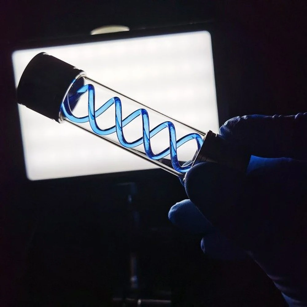 Modelo del Virus T de Resident Evil: Biochemical Crisis, Artículo Villano, Cosplay, Accesorio de Exhibición de Moda y Regalo Coleccionable - imagen 3