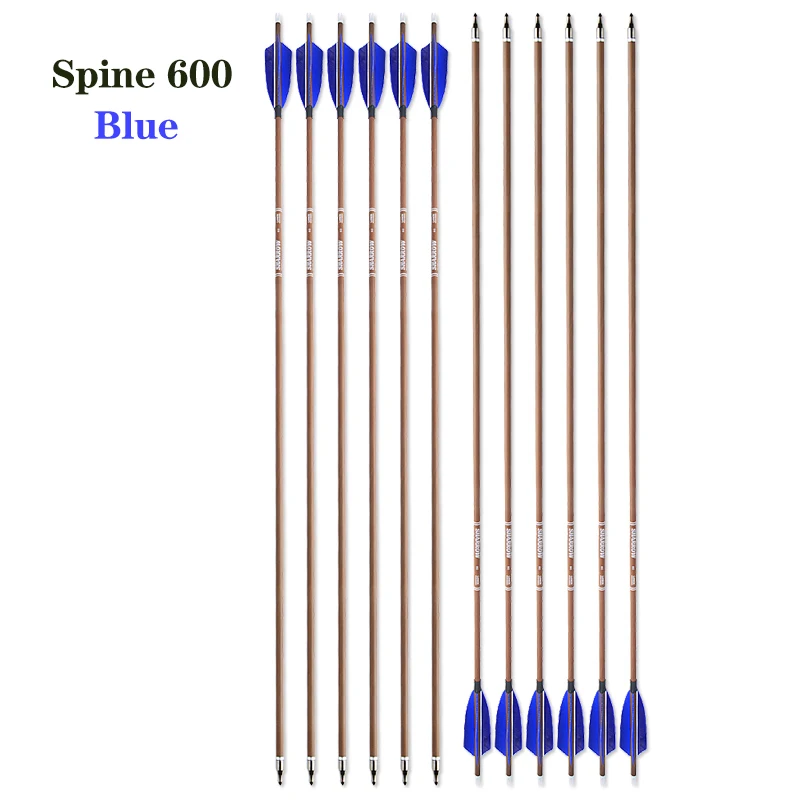 Spine 600--Blue
