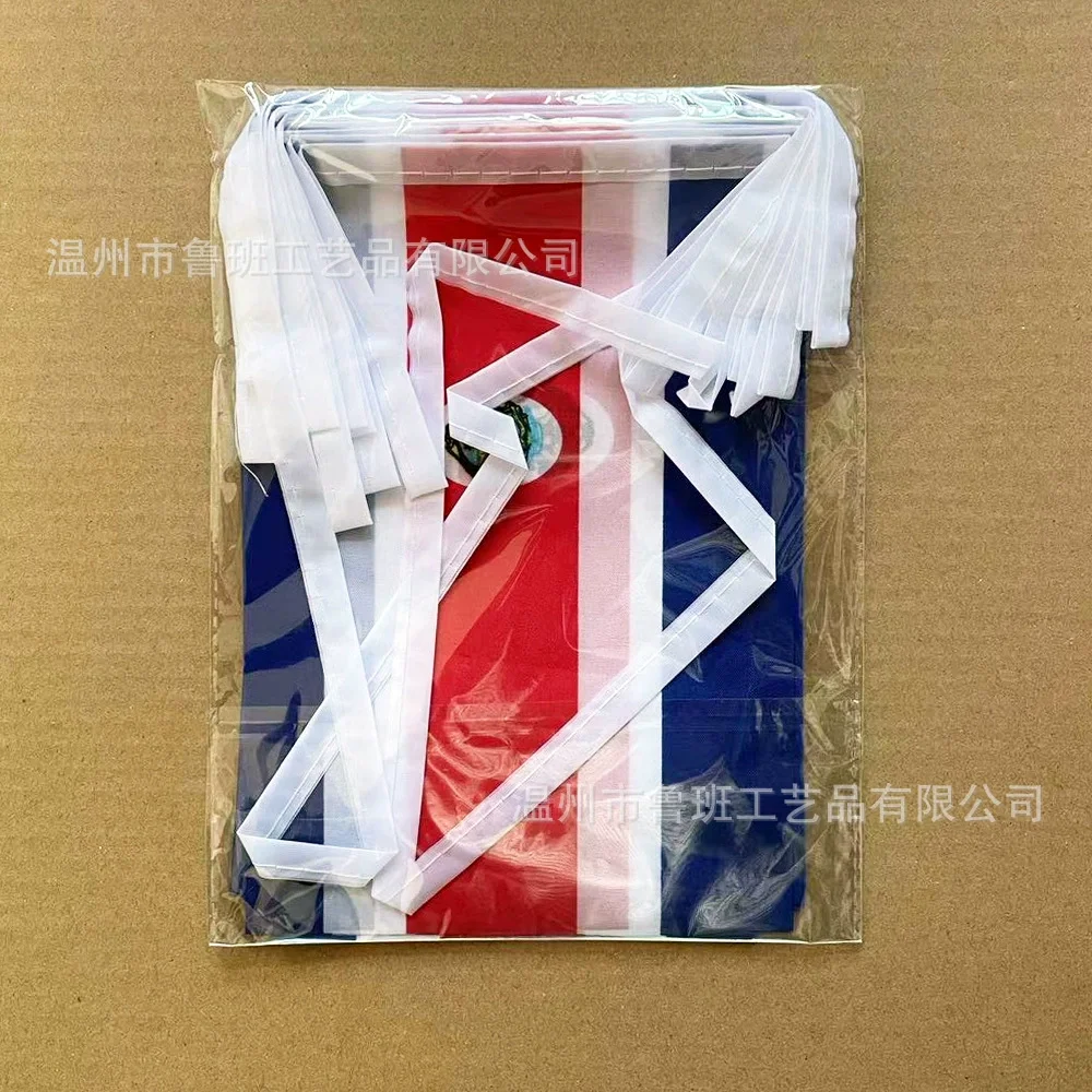 Banderines de Costa Rica con bandera de esquí, 14x21cm, 20 unids/lote, banderas de cuerda de Costa Rica, banderín, pancarta, fiesta, vacaciones para decoración - imagen 3