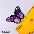 big butterfly7