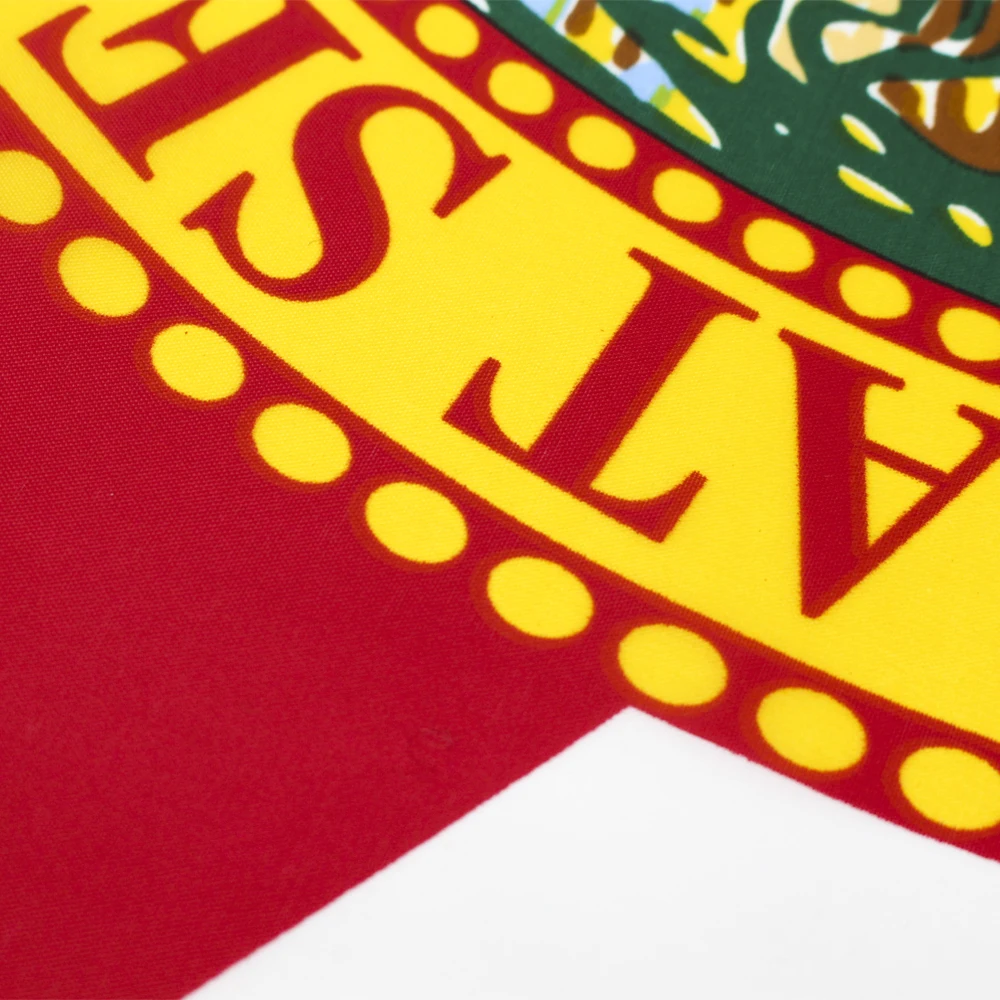 FLAGLINK 90x150 CM EE.UU. Bandera de Florida Para Decoración - imagen 3