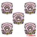 PE15516CT