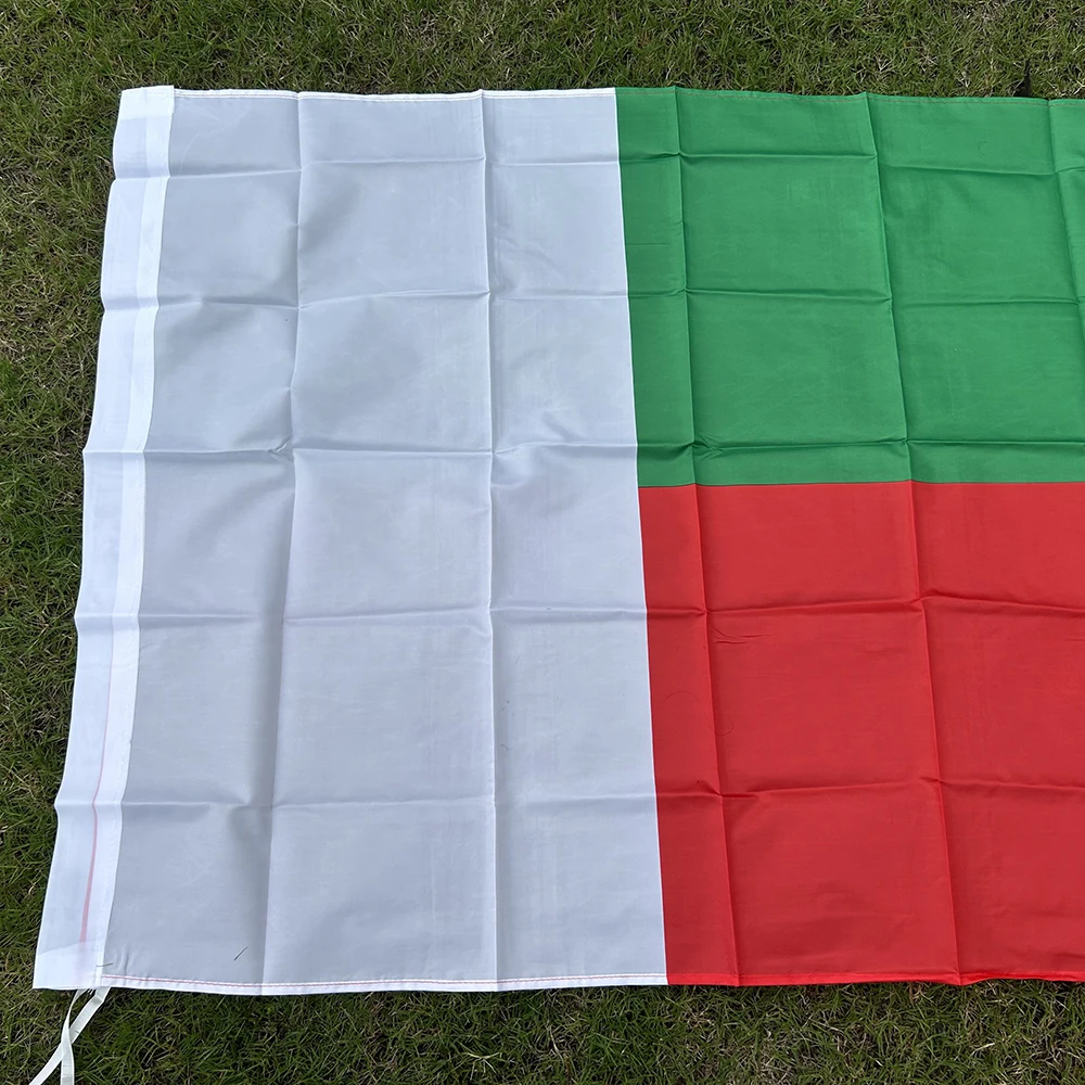 Bandera militar Madagascar 90x150cm de poliéster para decoración del hogar