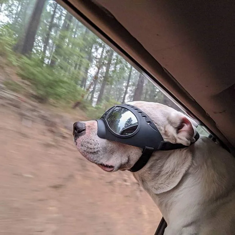 Gafas tácticas para perros: gafas protectoras de grado profesional para mascotas al aire libre