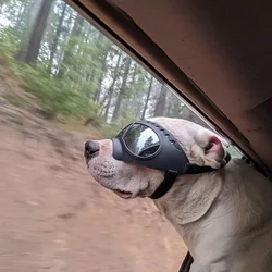 Gafas protectoras tácticas para perro – Outdoor de alta resistencia