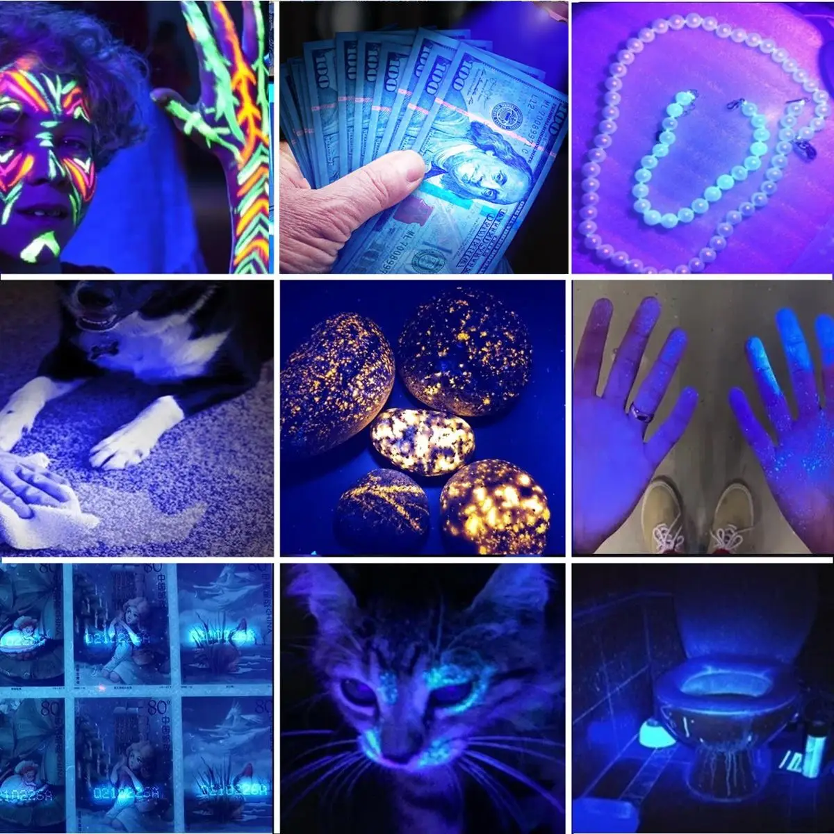 Zoom 365nm/395nm linterna de luz UV ultravioleta marcador de tinta Invisible gato perro orina tiña Mineral dinero escorpión luz fluorescente - imagen 3