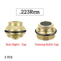 223Rem 2 Caps