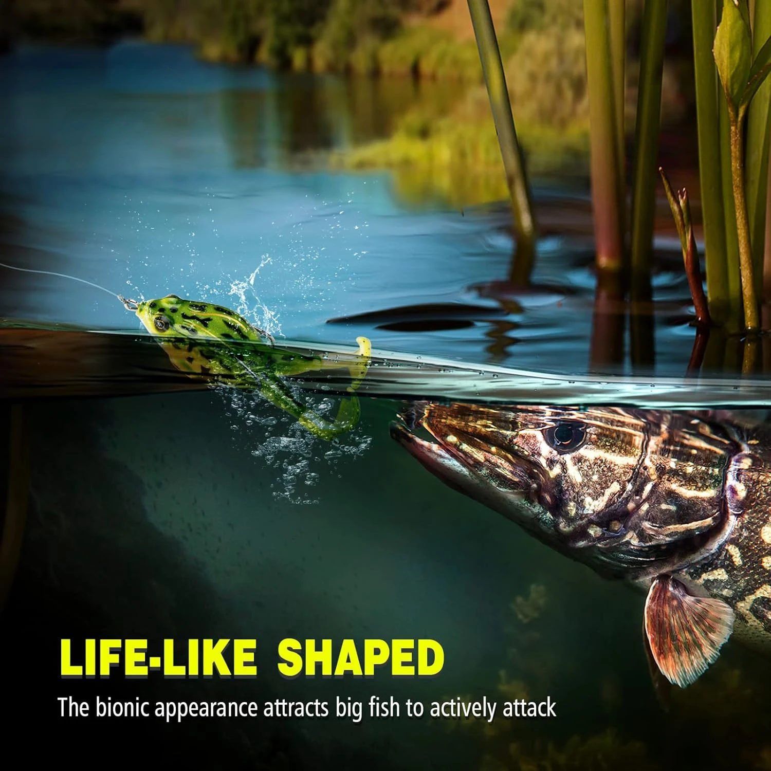 Topwater-señuelo de rana para lubina, juego de Señuelos de Pesca de trucha, accesorio realista, cebo flotante suave de rana con anzuelos sin malezas - imagen 5