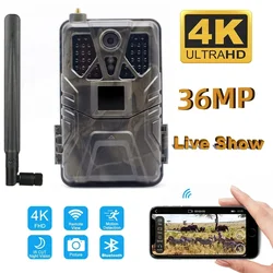 HC-910pro 4G cámara de caza al aire libre 4K vídeo en vivo APP Control cámara de rastreo 36MP cámaras de caza IP66 visión nocturna de vida silvestre