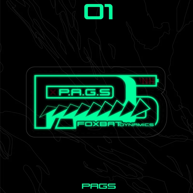 Parche de PVC 3D luminoso con tema PAGS, brazalete con batería baja que brilla en la oscuridad, insignia táctica para ropa, chaqueta, bolsa, decoración - imagen 2