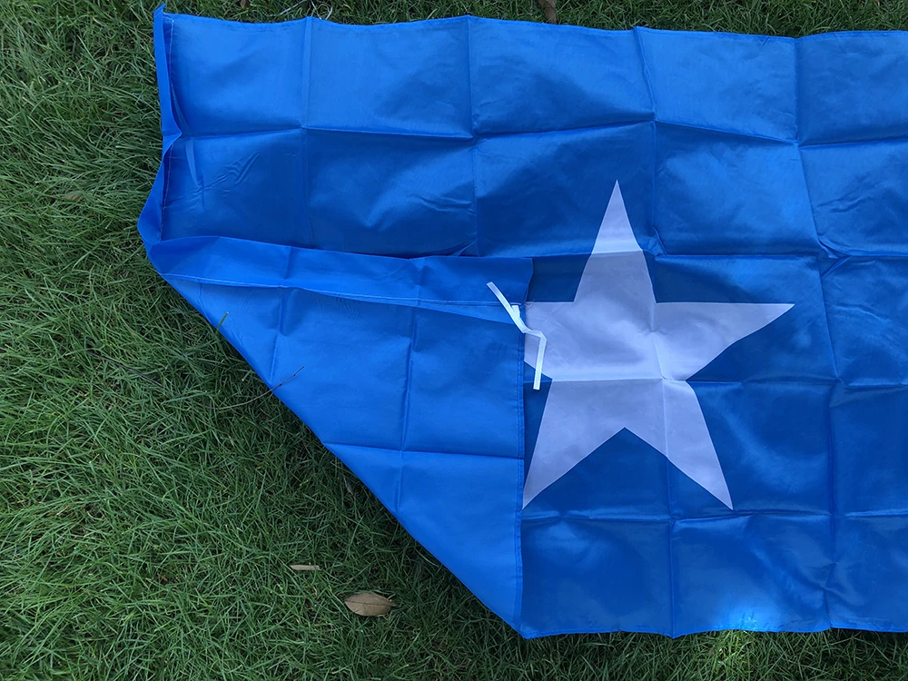 BANDERA DE CIELO Bandera de Somalia 3 pies X 5 pies Bandera nacional de Somalia 90x150 cm Poliéster Colgante Banner Decoración del hogar interior al aire libre - imagen 4