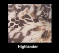 HIghlander