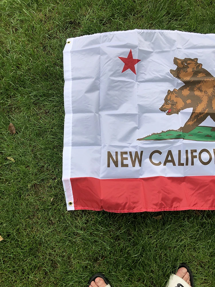 SKY FLAG Nueva bandera de California 90X150 cm poliéster impreso de doble cara colgante Nueva bandera de la República de California para decoración - imagen 4