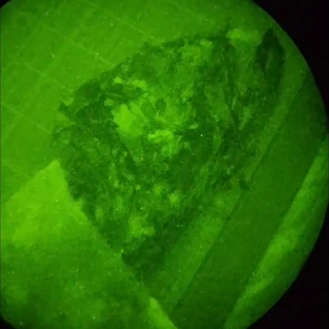 Conjunto de traje de pantalones Ghillie de camuflaje biónico ultraligero resistente a infrarrojos IR - imagen 2