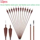 12pcs Brown Arrow