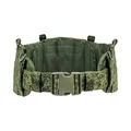 EMR- Waist