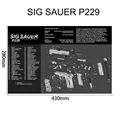 SIG SAUER P229