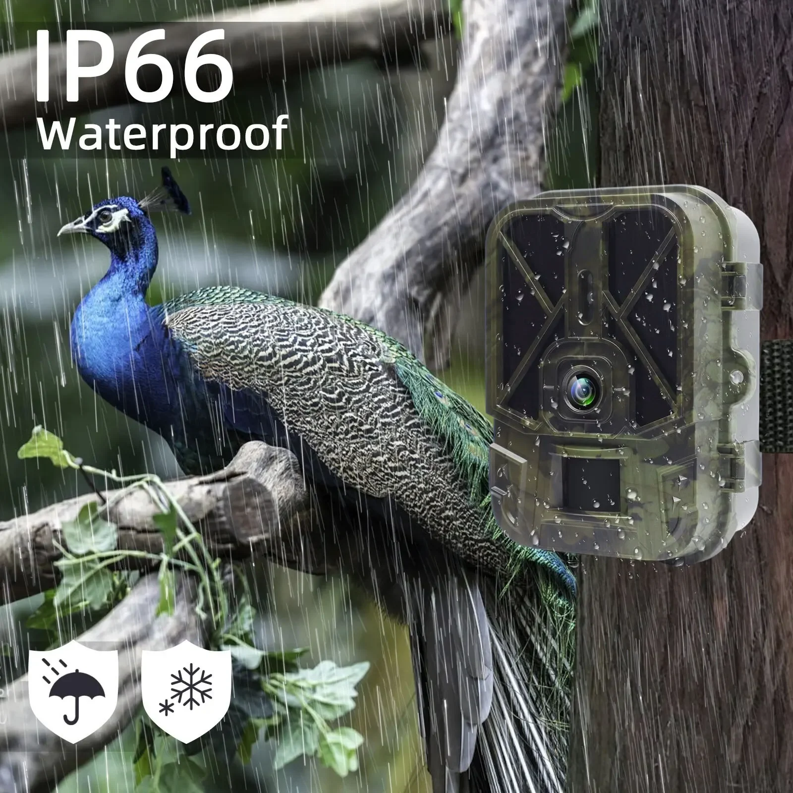 Cámara de fototrampeo 4G con vídeo en vivo y visión nocturna - imagen 2