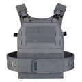 Wolf Grey
