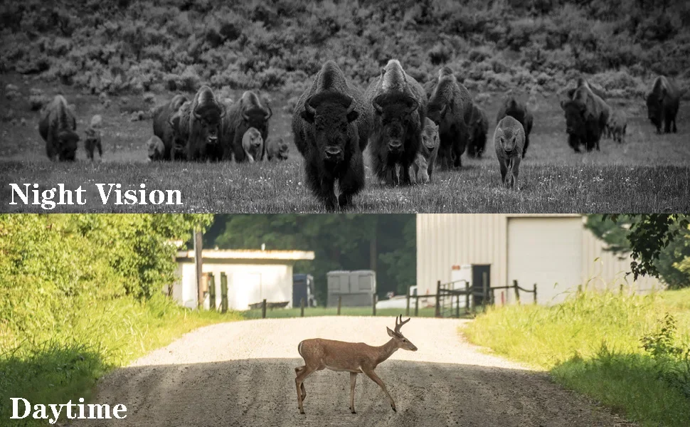 Cámara de caza HC-950Pro-Li lente Dual pantalla de 2,4 pulgadas vídeo 4K 36MP píxeles aplicación remota control 4G vídeo en vivo IP65 impermeable - imagen 5